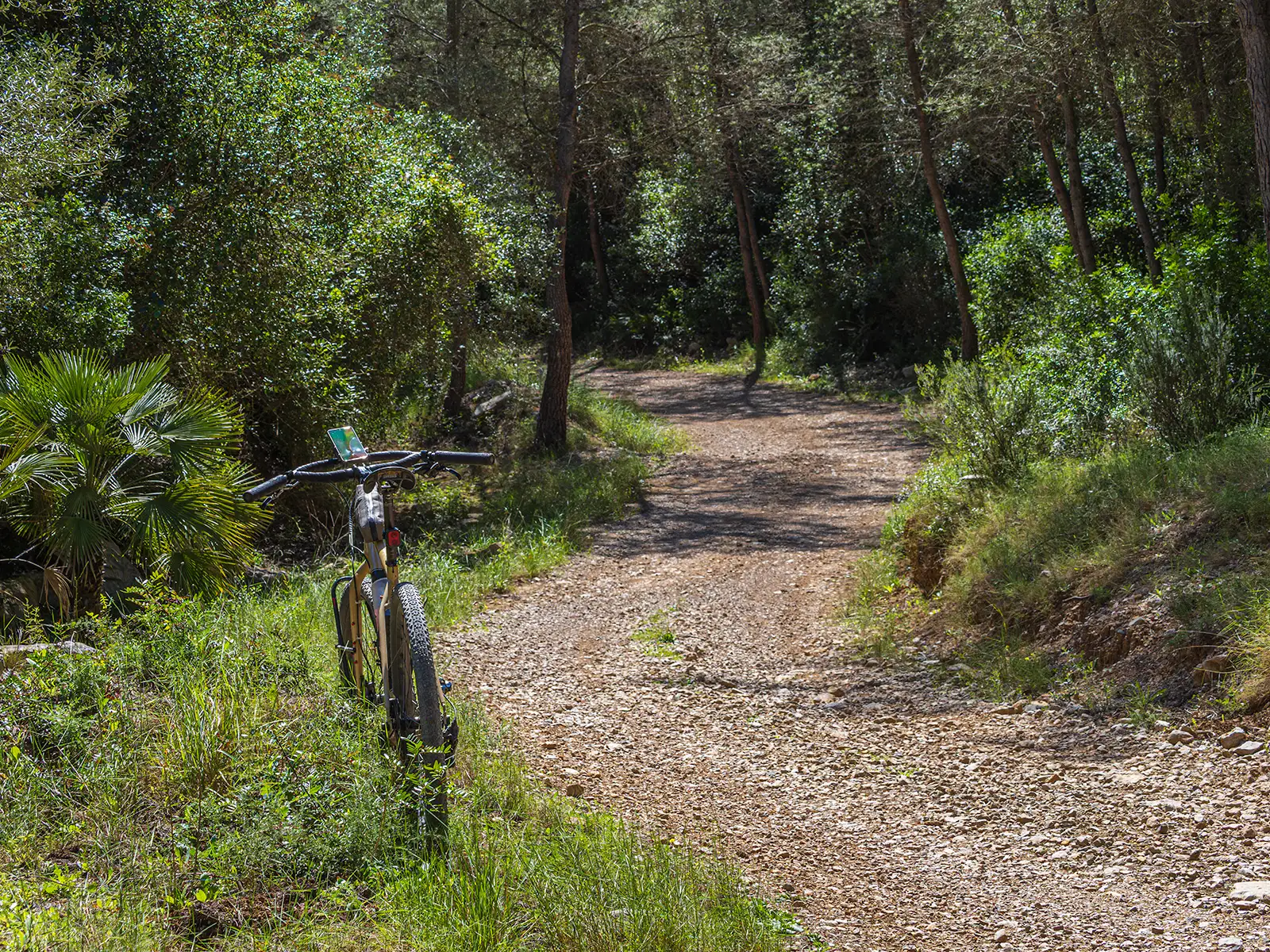 Bicicleta de gravel apoyada en un lado de la pista en medio del parque natural de la Sierra de Irta