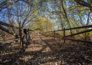 Bicicleta de gravel en la Vía Verde del Delta del Ebro