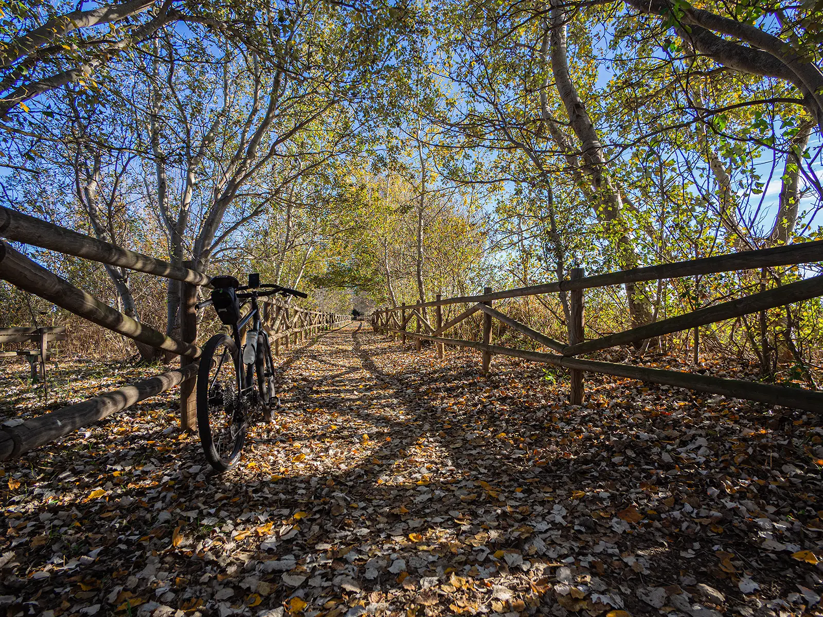 Bicicleta de gravel en la Vía Verde del Delta del Ebro