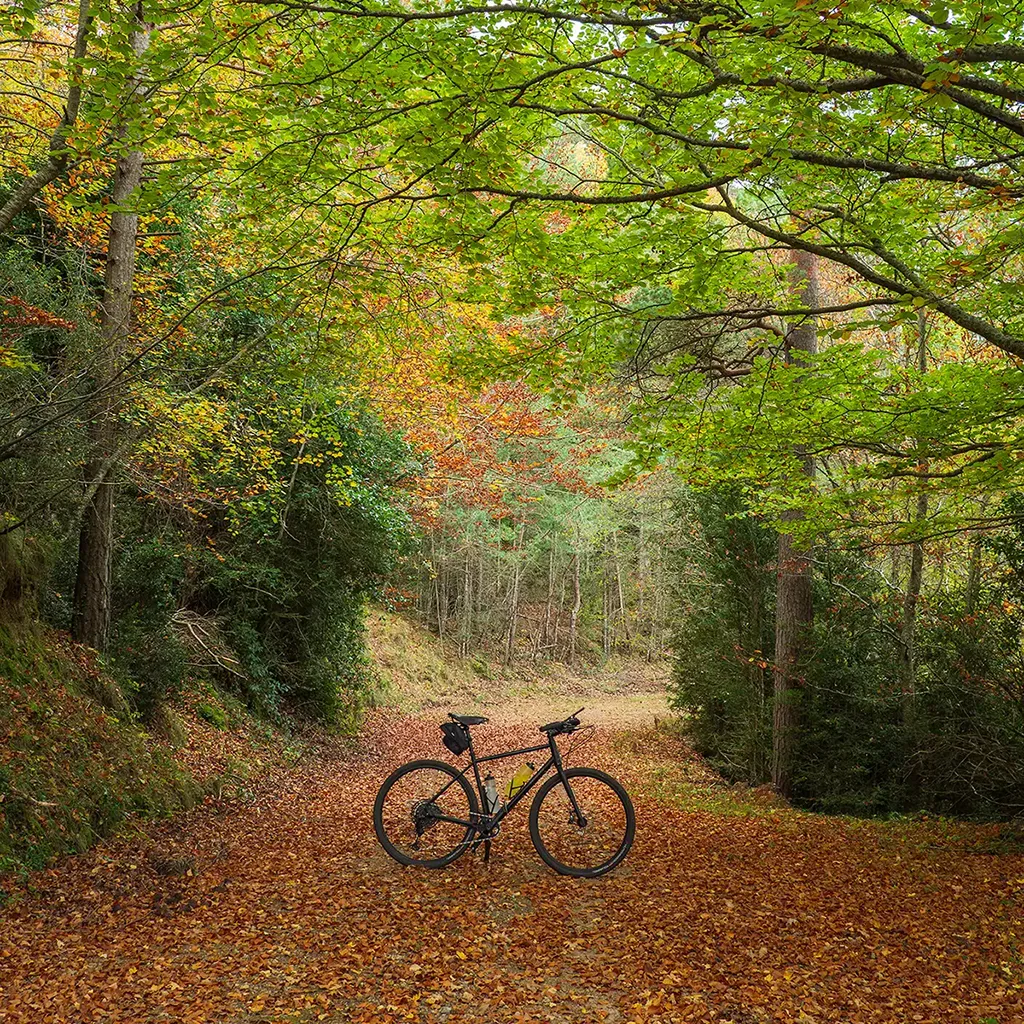Pista del Faig Pare en otoño
